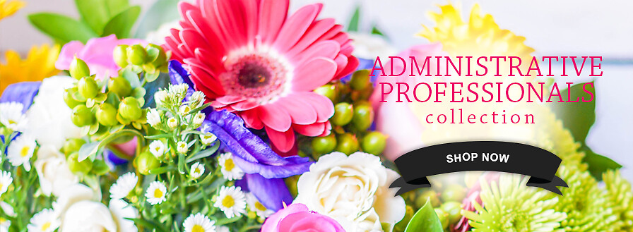 Admin Professionals Banner